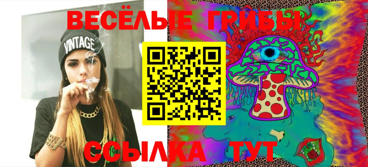 Черногорск  Галлюциногенные грибы ЛСД  Вход с VPN 